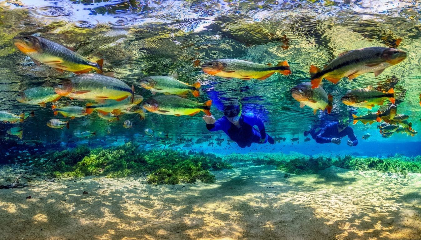 flutuações em bonito ms