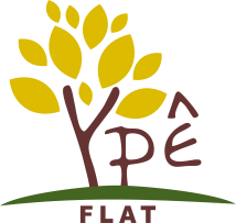 logotipo ype flat bonito ms